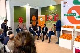 Un momento del convegno