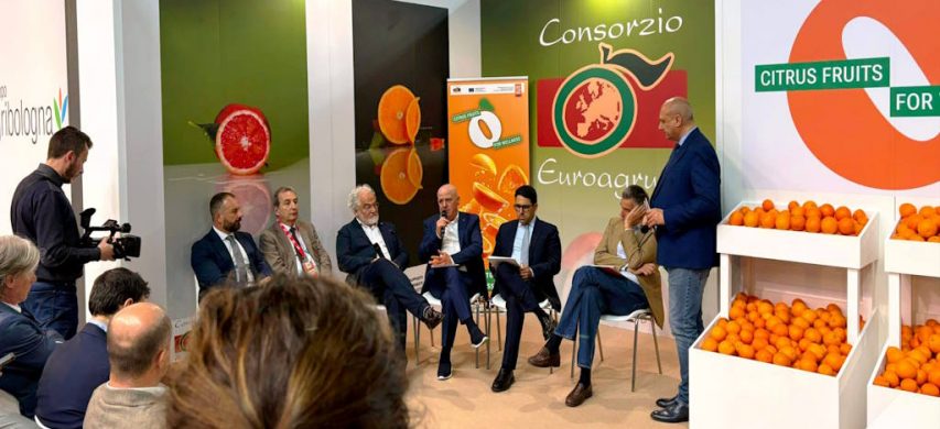 Un momento del convegno