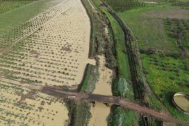 ciclone harry sospensione rate ismea