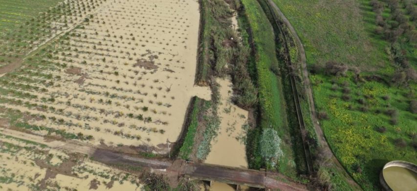 ciclone harry sospensione rate ismea