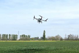 drone in volo su campo coltivato