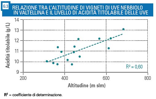 grafico acidità uva