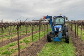 potatura meccanizzata