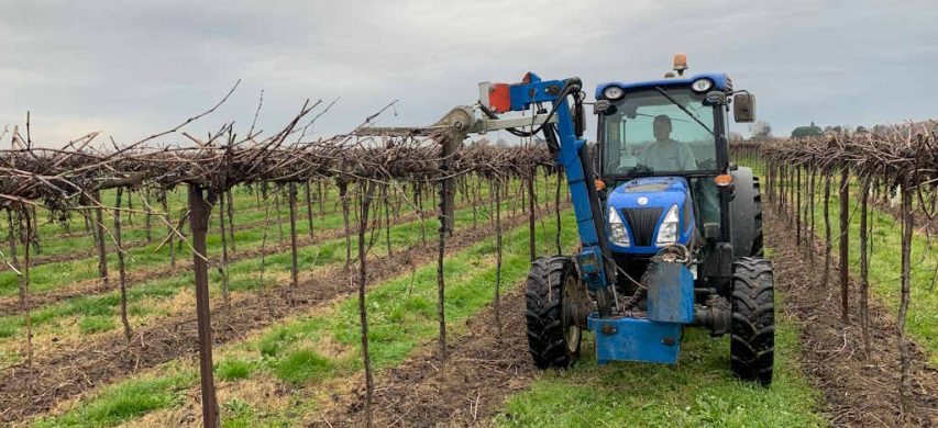 potatura meccanizzata