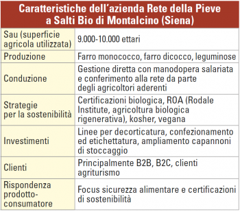 Rete della Pieve