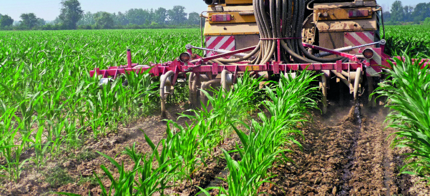 fertilizzazione mais