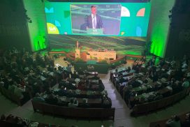 platea rielezione gianfranco fini