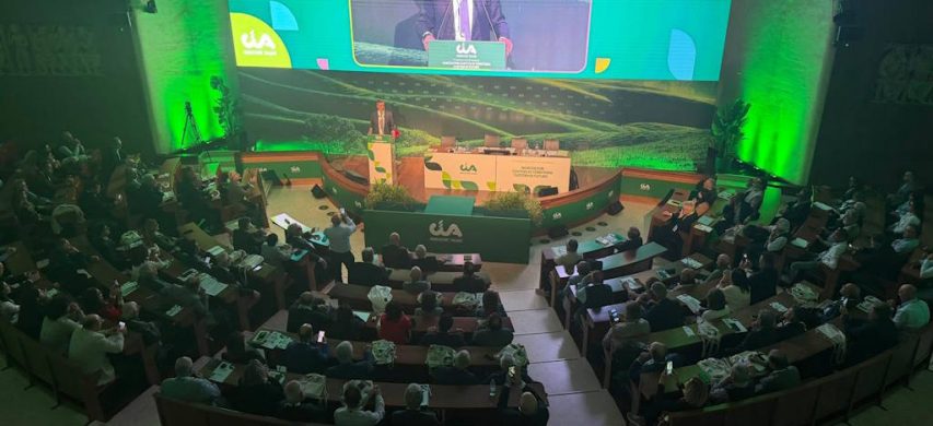 platea rielezione gianfranco fini