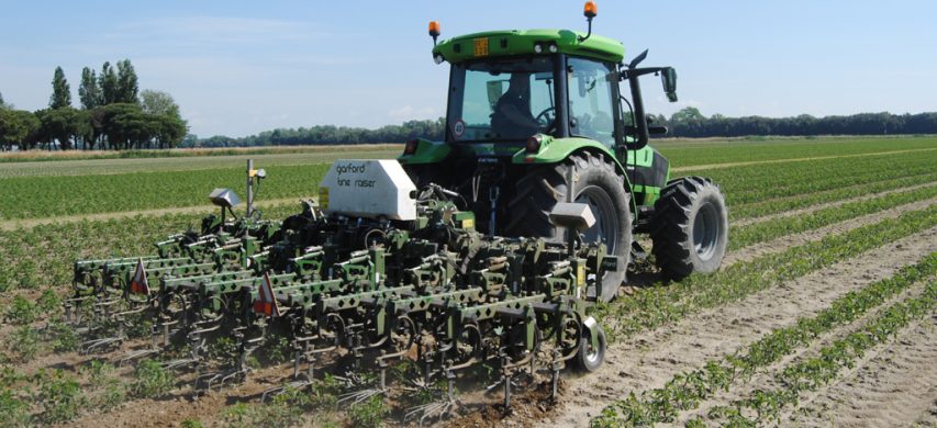 La sarchiatrice Gaeford-Robocrop-Inter-row in azione