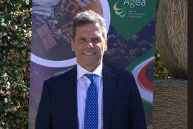 Fabio Vitale