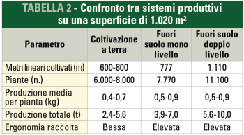 fragola doppio livello
