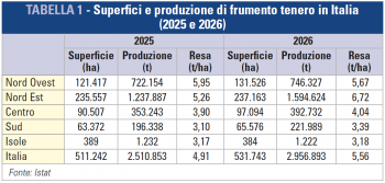 superfici e produzione di frumento tenero in Italia (2025 e 2026)